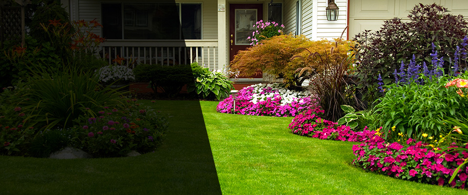 Scott Landscapers