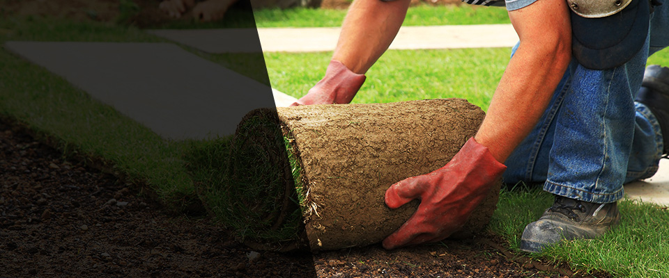 Scott Landscapers